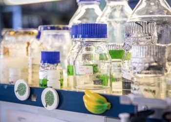 El repositorio científico del CSIC cumple 12 años alcanzando los 200.000 resultados de investigación