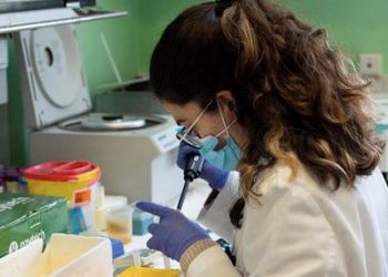 Llega al mercado el test de anticuerpos de Covid-19 del CSIC con una fiabilidad de casi el 100%