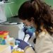 Llega al mercado el test de anticuerpos de Covid-19 del CSIC con una fiabilidad de casi el 100%