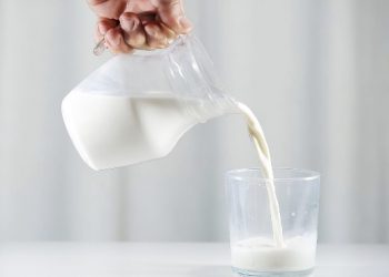 curiosidades-lactosa-febrero-2020