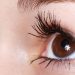 curiosidades-lentes-abril-2020
