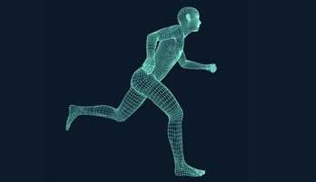 Investigadores del CSIC explican los efectos del ejercicio físico sobre el cerebro