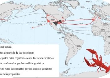 curiosidades-mapa-cangrejos-rojos-junio-2019