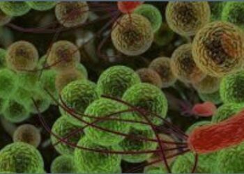 curiosidades-marzo-2019-3