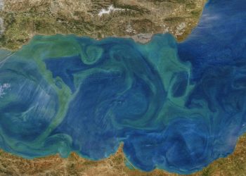 Descrita por primera vez de forma directa la trayectoria del agua entre la superficie y la profundidad del océano