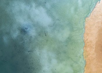 curiosidades-mercurio-en-sedimentos-marinos-abril-2020