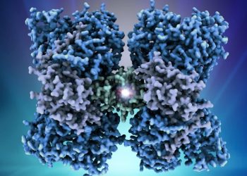 curiosidades-metabolismo-enfermedad-congenita-mayo-2019