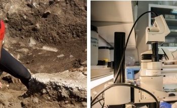 curiosidades-mujeres-investigadoras-julio-2019