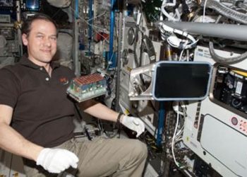 El CSIC coordina un equipo europeo que aplica big data en biología para facilitar la exploración espacial