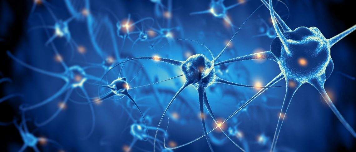 curiosidades-neuronas-septiembre-2019