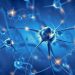 curiosidades-neuronas-septiembre-2019
