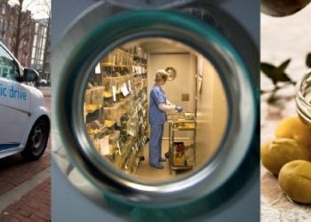 curiosidades-octubre-2019