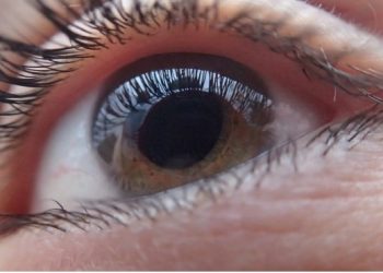 curiosidades-ojos-septiembre-2019