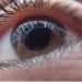curiosidades-ojos-septiembre-2019