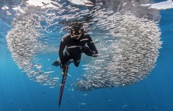 Expertos del CSIC analizan el impacto socioeconómico de la pesca recreativa