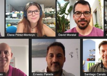 Distintos ritmos de ondas lentas y rápidas permiten al cerebro adaptarse a las demandas cognitivas en cada momento