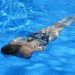 curiosidades-piscinas-y-covid-19-mayo-2020
