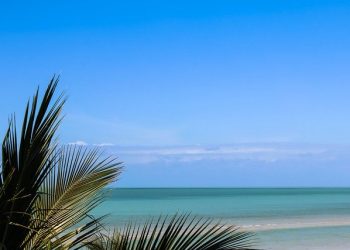 La deshibernación de la piel