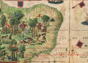 Los hallazgos botánicos de la expedición de Magallanes y Elcano protagonizan un nuevo libro del CSIC