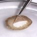 Investigadores del CSIC buscan reforzar las mucosas nasales y orales para impermeabilizarlas ante el SARS-CoV-2