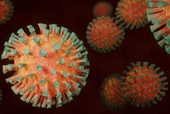 Investigadores del CSIC utilizarán un tipo de ‘parásitos del coronavirus’ para combatirlo