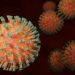 Investigadores del CSIC utilizarán un tipo de ‘parásitos del coronavirus’ para combatirlo