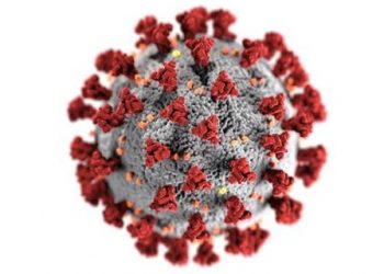 Un proyecto del CSIC busca desentrañar las proteínas más desconocidas del coronavirus