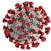 Un proyecto del CSIC busca desentrañar las proteínas más desconocidas del coronavirus