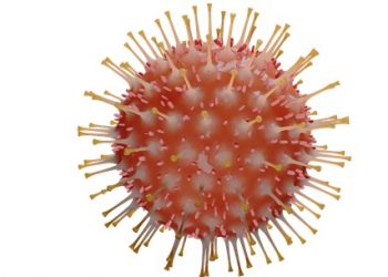 Un equipo del CSIC busca una vacuna para Covid-19 que usa un antígeno del coronavirus para estimular la inmunidad