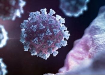 Un nuevo ensayo serológico para Covid-19 emplea biochips diseñados para detectar vida en otros planetas