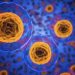 Investigadores del CSIC analizan el uso de fármacos antitumorales para combatir el coronavirus SARS-CoV-2