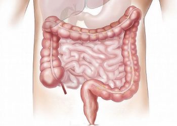 curiosidades-sistema-digestivo-mayo-2019