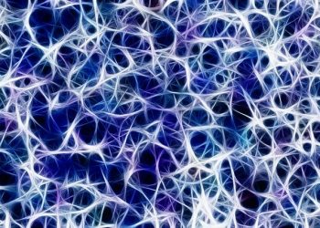 ¿Cómo funciona el sistema nervioso?