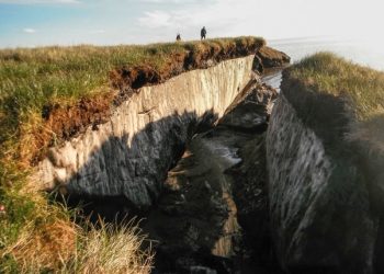 curiosidades-suelos-perdida-carbono-julio-2019