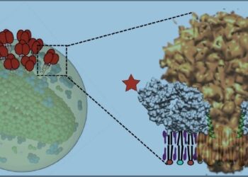 curiosidades-talon-aquiles-abril-2019