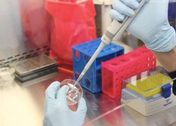 Un estudio del CSIC identifica pacientes con una enfermedad rara muy grave pero tratable con uridina