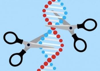 Investigadores del CSIC utilizarán las herramientas CRISPR para destruir el genoma del coronavirus de Covid-19
