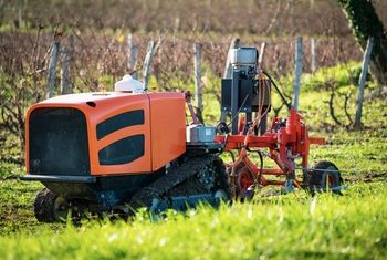 Un proyecto del CSIC utilizará el láser para eliminar malas hierbas de los cultivos sin necesidad de pesticidas