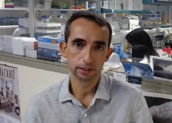 Dos investigaciones del Instituto de Neurociencias UMH-CSIC obtienen ex aequo el Premio Alberto Sols al Mejor Trabajo Científico