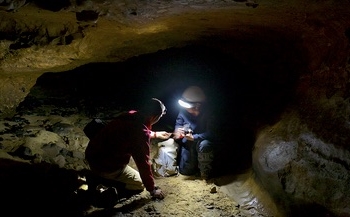 El estudio del cromosoma Y revela antiguas hibridaciones entre los neandertales y Homo sapiens