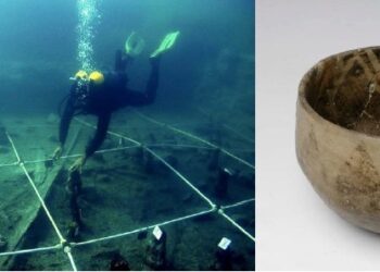 curiosidades-yacimiento-de-la-marmotta-abril-2019