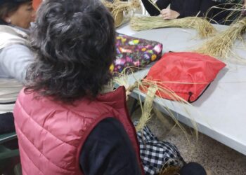 curso-moralet-reivindicacion-asociacion-vecinal-nuevo-moralet-enero-2019