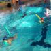 cursos-natacion-aspe-diciembre-2018