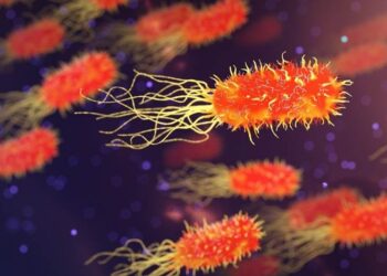 curuisidades-bacteria-marzo-2019