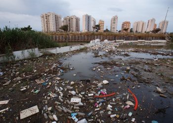 desembocadura-rio-segura-junio-2019