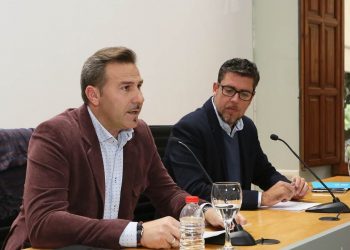 diputacion-alicante-ayudas-dana-noviembre-2019-2