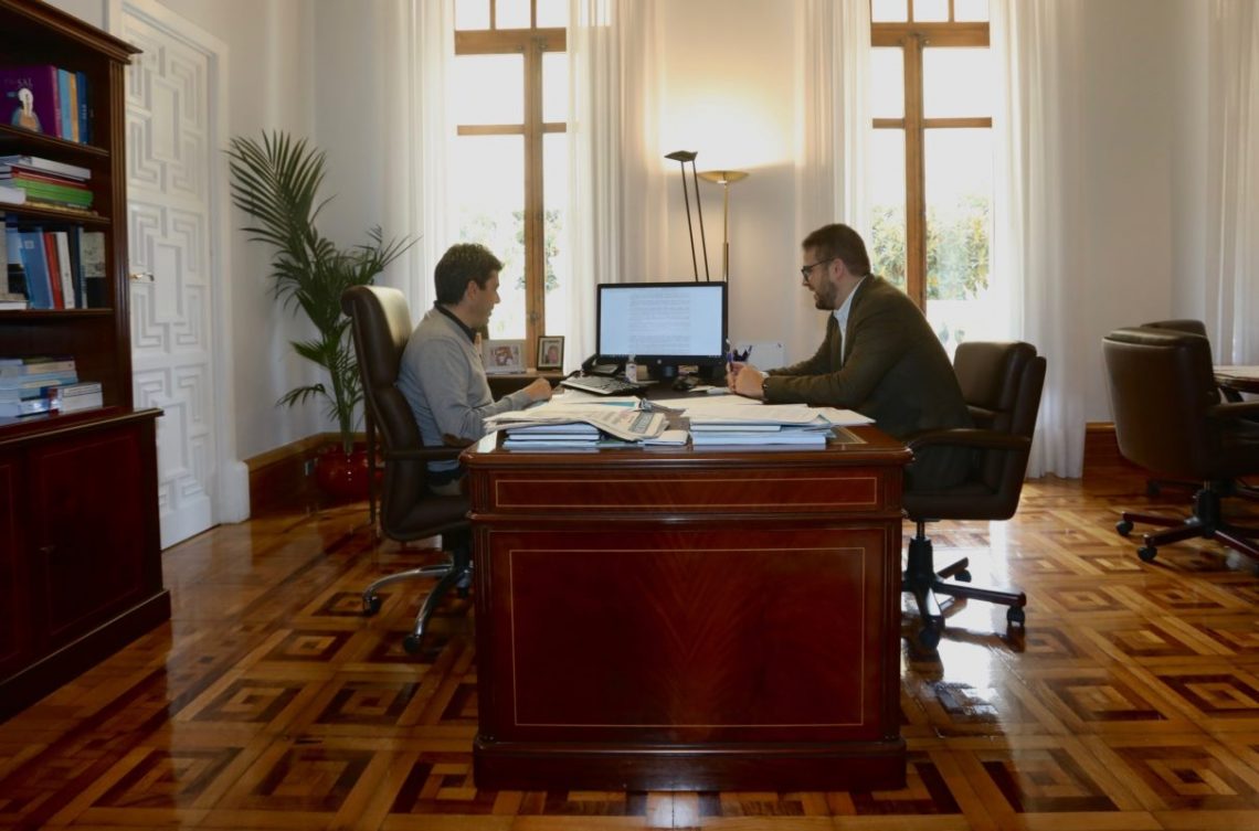 diputacion-pleno-online-coronavirus-marzo-2020