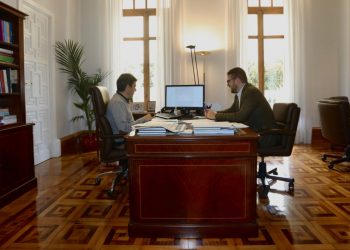 diputacion-pleno-online-coronavirus-marzo-2020