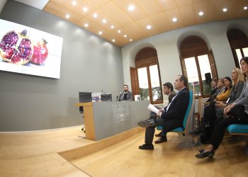 diputacion-presentacion-campana-made-in-costablanca-noviembre-2019-2