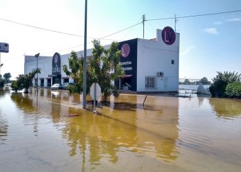 dolores-dana-marzo-2020